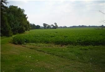 Homesite in Salem County, New Jersey