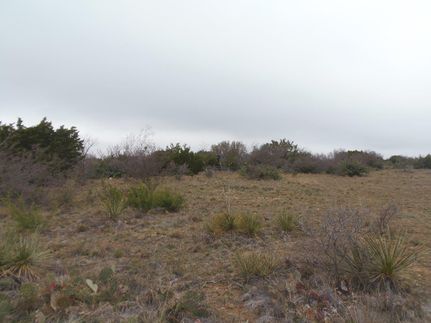 Land in Runnels County, Texas