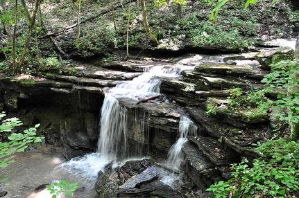 Farm and Ranch in Summers County, West Virginia