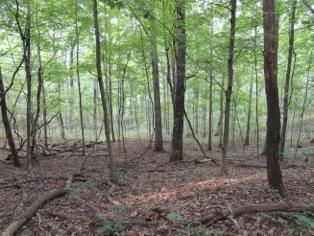 Farm and Ranch in Lawrence County, Ohio