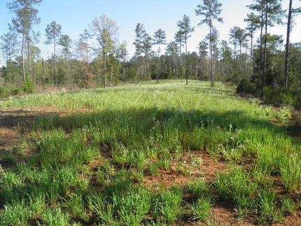 Land in Newberry County, South Carolina