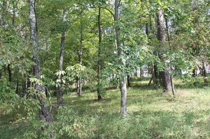Land in Guernsey County, Ohio