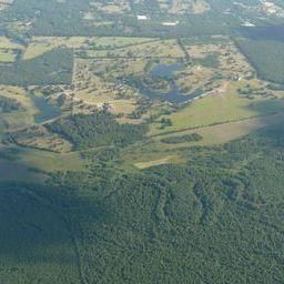 Farm and Ranch in Titus County, Texas