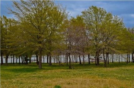 Timberland Property in Navarro County, Texas