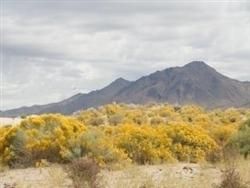 Farm and Ranch in Humboldt County, Nevada