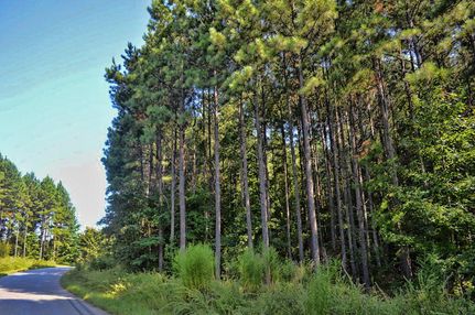 Farm and Ranch in Spartanburg County, South Carolina