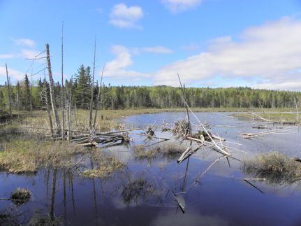 Farm and Ranch in Somerset County, Maine