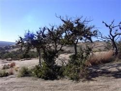 Farm and Ranch in Culberson County, Texas