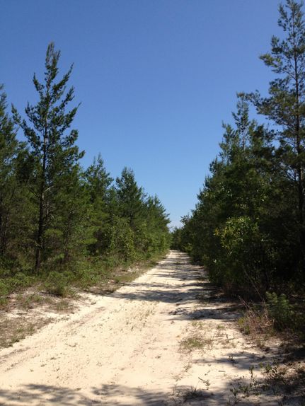 Farm and Ranch in Calhoun County, Florida
