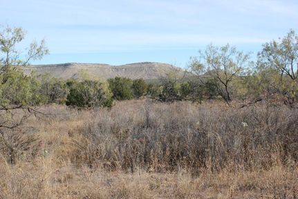 Land in Coke County, Texas