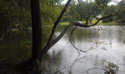Farm and Ranch in Richland County, South Carolina