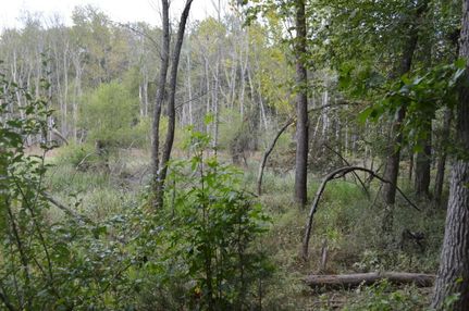 Farm and Ranch in Spartanburg County, South Carolina