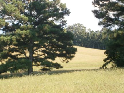 Farm and Ranch in Pontotoc County, Mississippi