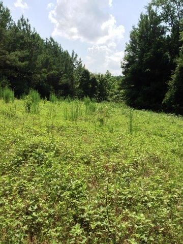Farm and Ranch in Coffee County, Alabama