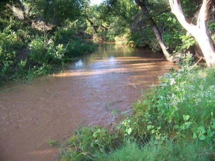 Undeveloped Land in Runnels County, Texas