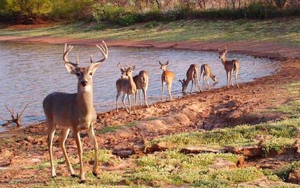 Land in Haskell County, Texas