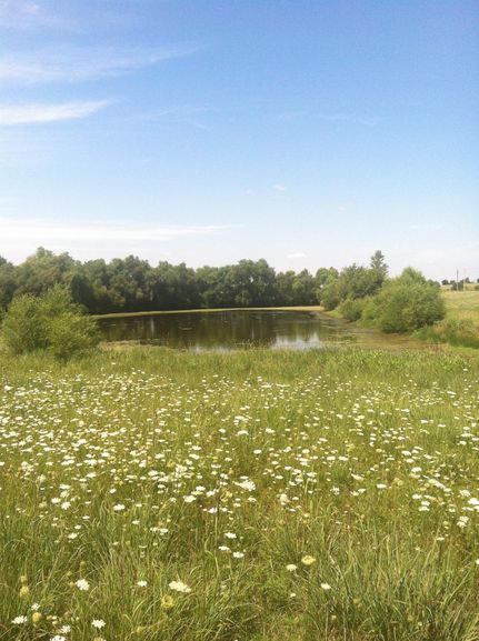 Farm and Ranch in Gentry County, Missouri