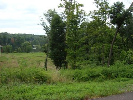 Commercial Property in Lyon County, Kentucky