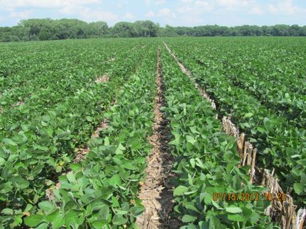 Land in Gage County, Nebraska