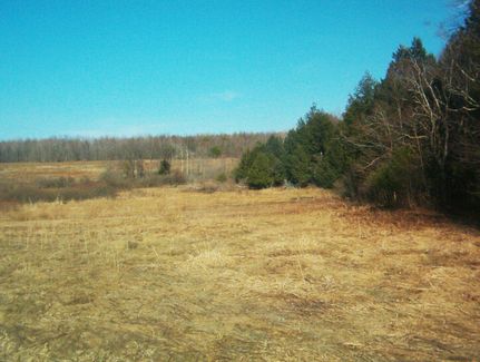 Farm and Ranch in Chenango County, New York