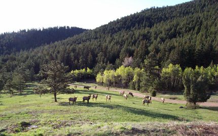 House in Jefferson County, Colorado