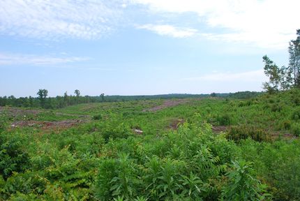 Land in Cherokee County, South Carolina