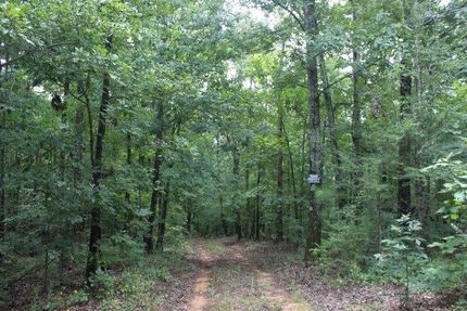 Recreational Property in Perry County, Alabama