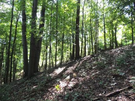 Farm and Ranch in Meigs County, Ohio
