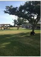 Farm and Ranch in Stephens County, Oklahoma
