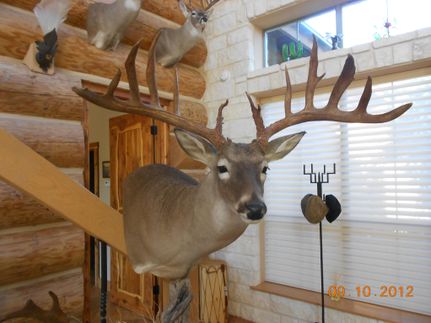 Land in La Salle County, Texas