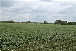 Farm and Ranch in Wharton County, Texas