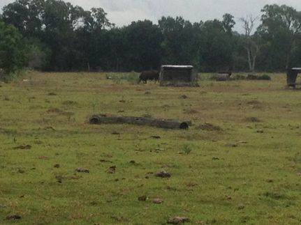 Farm and Ranch in Wharton County, Texas