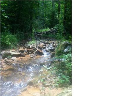 Farm and Ranch in Marion County, Tennessee