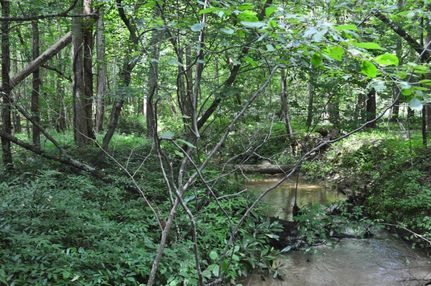Land in Greenville County, South Carolina