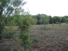 Farm and Ranch in Eastland County, Texas