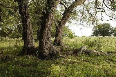 Farm and Ranch in Burnet County, Texas