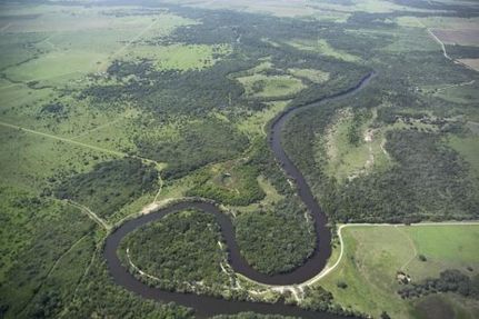 Timberland Property in Victoria County, Texas