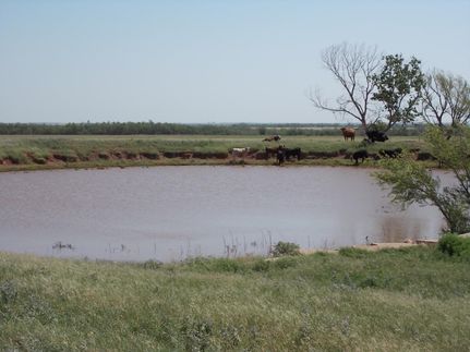 Farm and Ranch in Haskell County, Texas