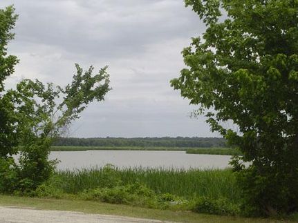 Farm and Ranch in Trinity County, Texas
