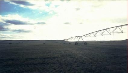 Farm and Ranch in Valley County, Montana
