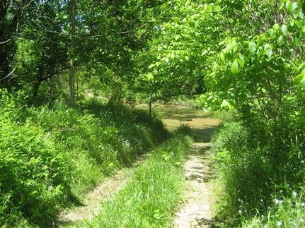 Farm and Ranch in Anderson County, Kentucky