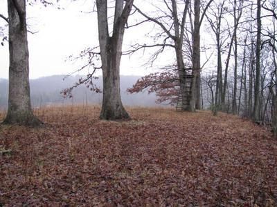 Farm and Ranch in Ritchie County, West Virginia