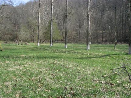 Land in Pleasants County, West Virginia