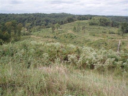 Farm and Ranch in Wood County, West Virginia