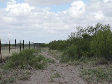 Recreational Property in Webb County, Texas