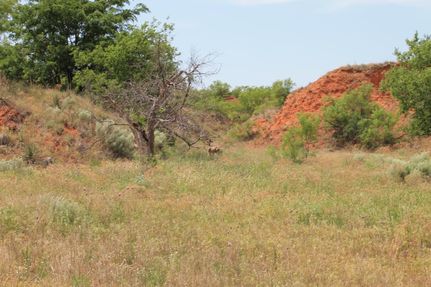 Land in Collingsworth County, Texas