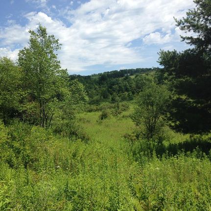 Recreational Property in Broome County, New York