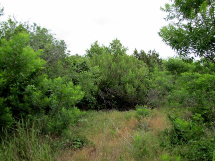 Farm and Ranch in Erath County, Texas