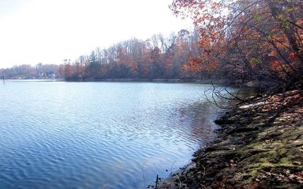 Lakefront Property in Bedford County, Virginia