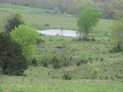 Farm and Ranch in Laclede County, Missouri